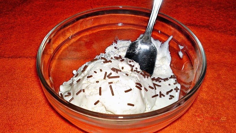 Domácí smetanová vanilková zmrzlina