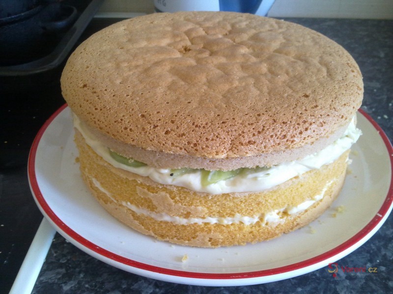 Dortový korpus - fotografie 3