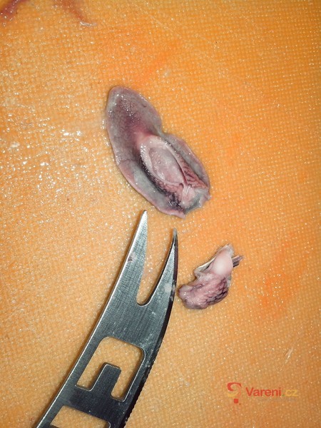 Šneci po burgundsku - fotografie 5