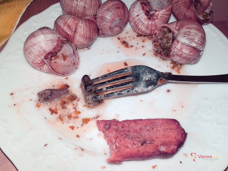 Šneci po burgundsku - fotografie 2