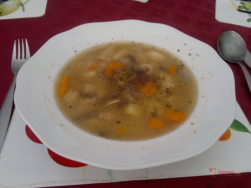 Polévka ze sušených hub - fotografie 2