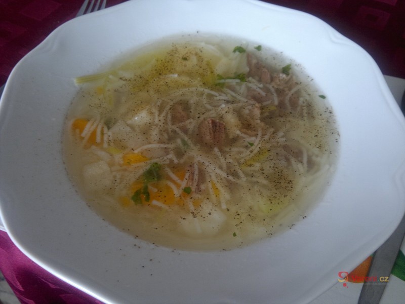 Důkladná hovězí polévka - fotografie 2