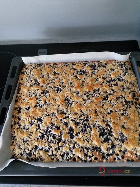 Hrníčková bublanina s borůvkami - fotografie 4