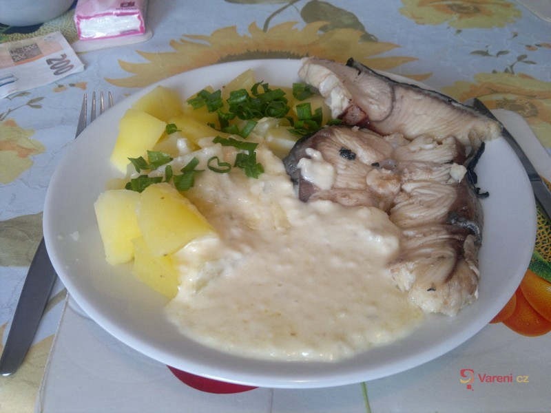 Žraločí steak - fotografie 2