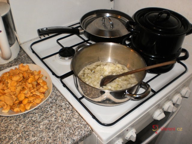 Dušené lišky na paprice - fotografie 3