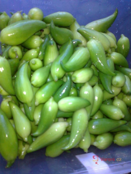 Upečená ačokča - fotografie 4