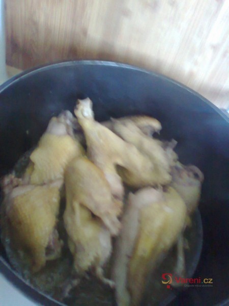 Kohout na ztracené cuketě - fotografie 4