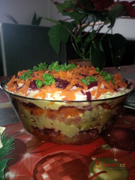 Šuba - fotografie 2