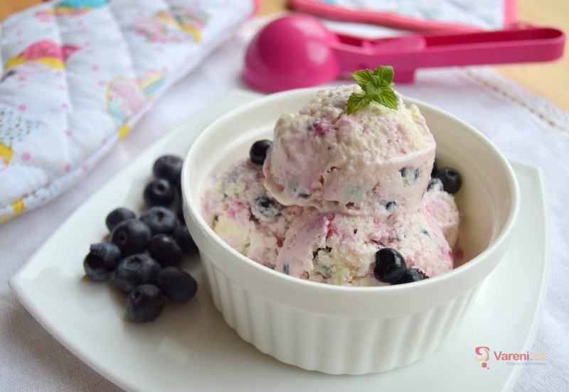 Jogurtová borůvková zmrzlina