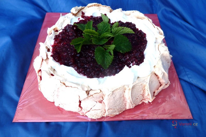 Dort Pavlova - fotografie 2