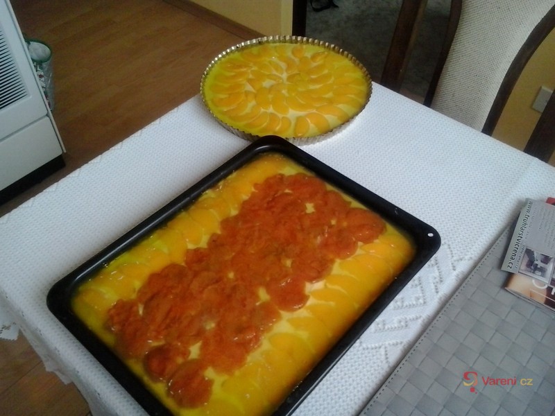 Piškotový moučník se želatinou - fotografie 2