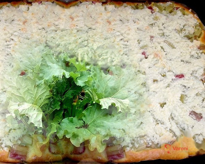 Klasický rebarborový koláč z kynutého těsta - fotografie 3