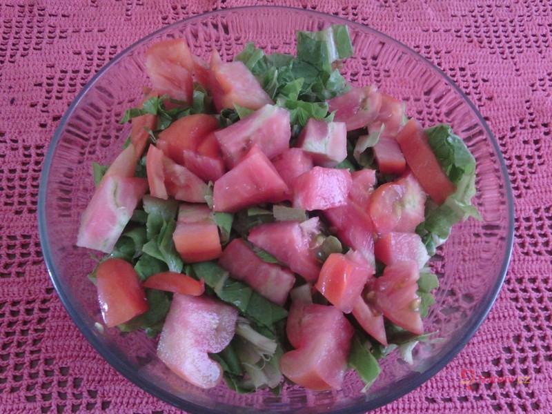 Bazalková zálivka na hlávkový salát - fotografie 2