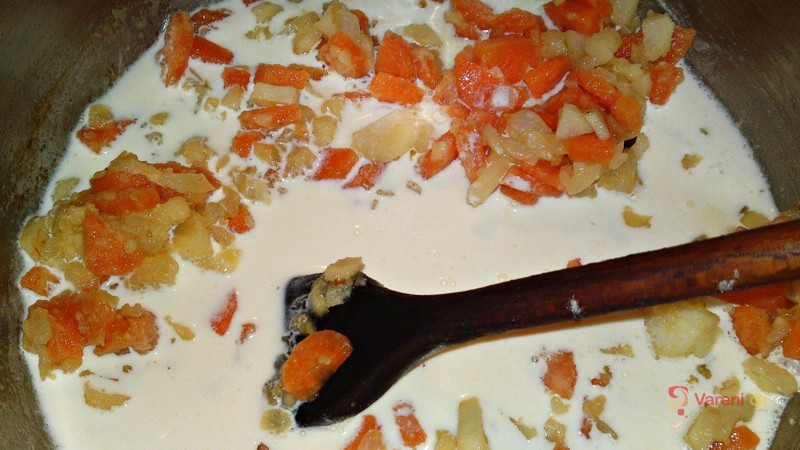 Frikasé z krůtích prsou, zeleniny a žampionů - fotografie 5