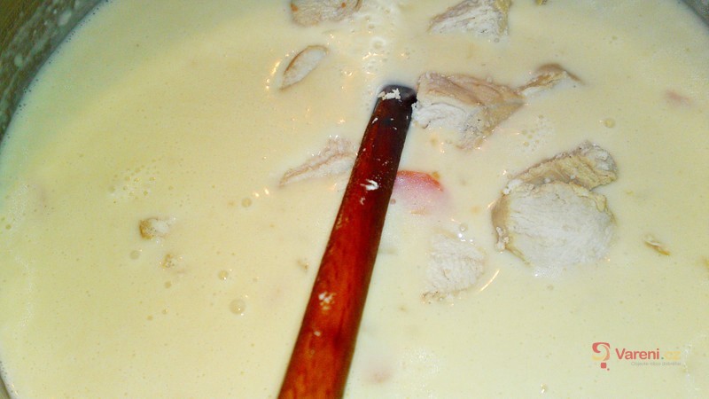 Frikasé z krůtích prsou, zeleniny a žampionů - fotografie 3