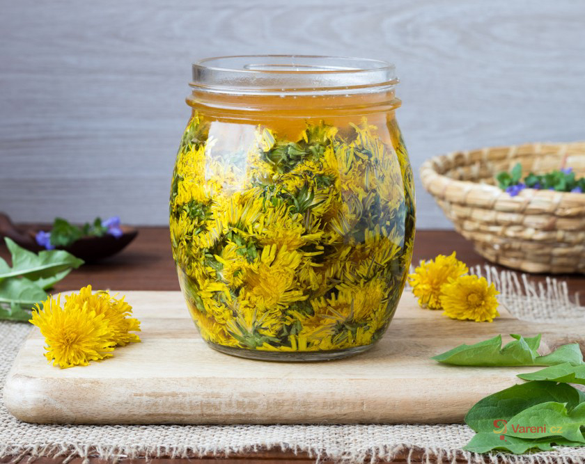 Moje Kucha ka Va en cz Moje Kucha ka Va en cz