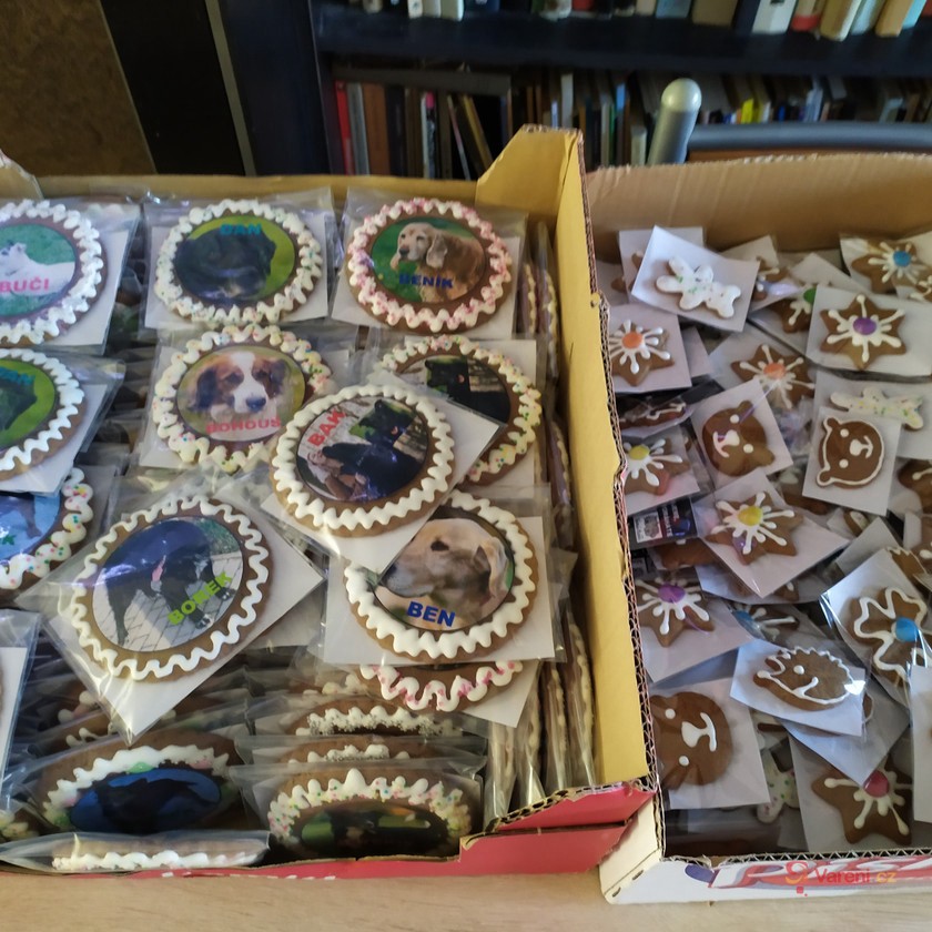 Perníčky na Vánoce, Velikonoce i chaloupku - fotografie 5