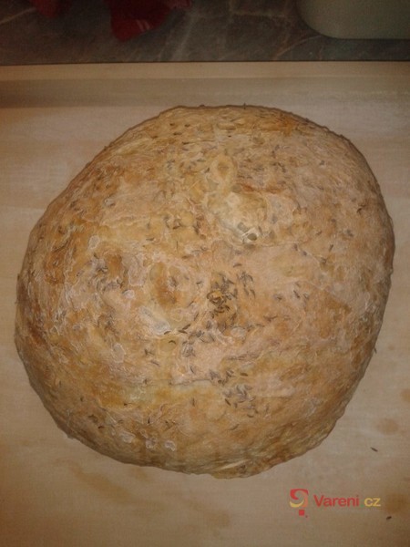 Domácí chléb z běžné trouby - fotografie 3