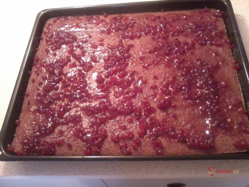 Koláč rychlík - fotografie 2