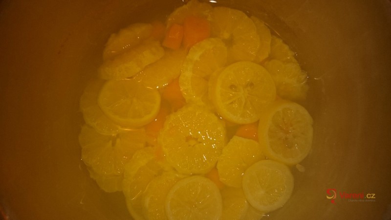 Pomerančový džus s mrkví - fotografie 4
