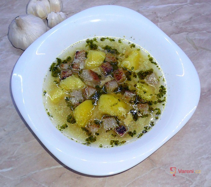 Česnečka vyprošťovák - fotografie 2