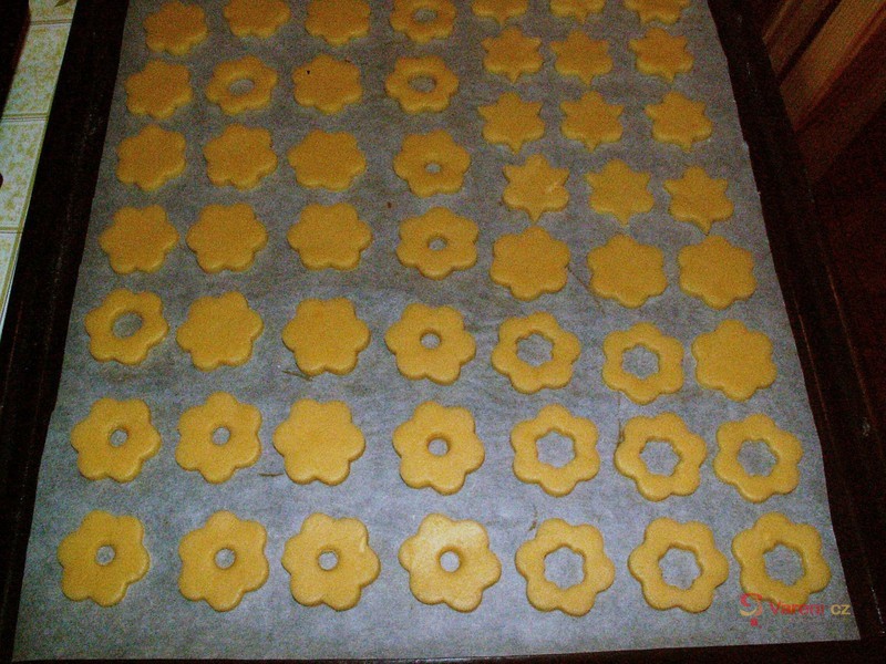 Linecké květinky - fotografie 5