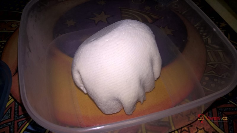 Panýr - indický sýr - fotografie 2