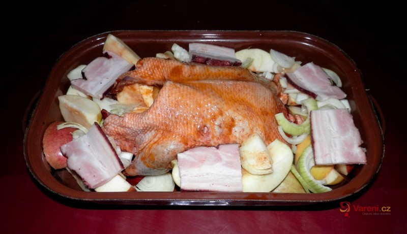 Chalupářský bažant - fotografie 4