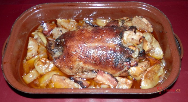 Chalupářský bažant - fotografie 5