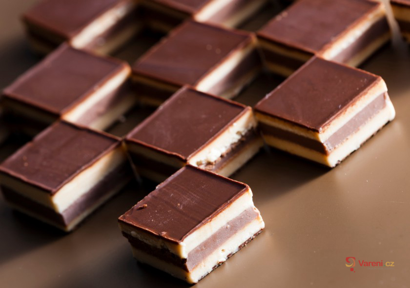 Kuchařka Cybermikyho kuchařka