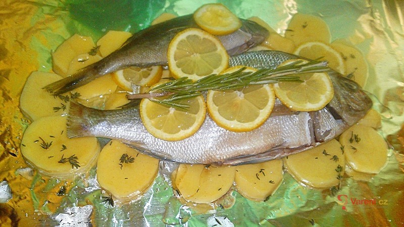 Pražma na bylinkách - fotografie 5