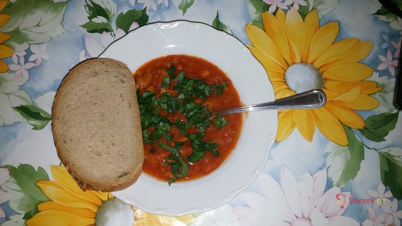 Kaťák z papiňáku - fotografie 2