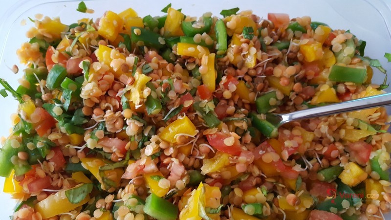 Salát z čočkových klíčků - fotografie 2