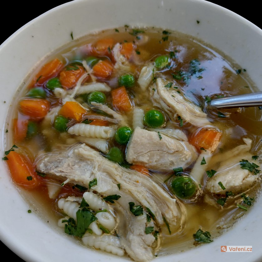 Slepičí polévka Ujházy