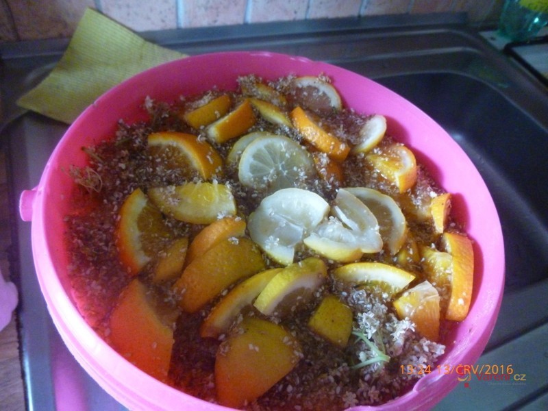 Šťáva z květů bílého bezu za studena - fotografie 2