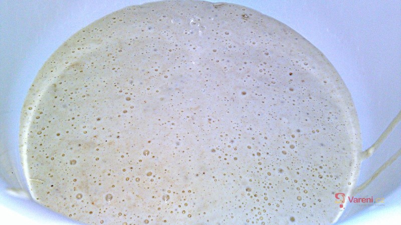 Kvásek z hladké bílé chlebové mouky - fotografie 3