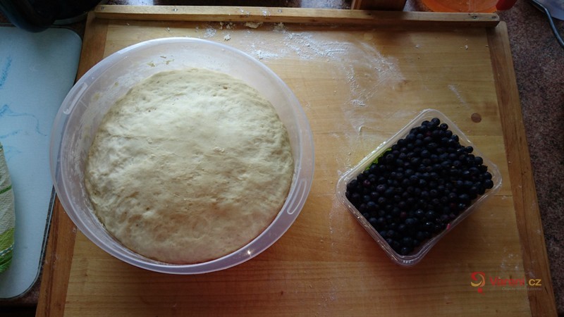 Borůvkové knedlíky - fotografie 4