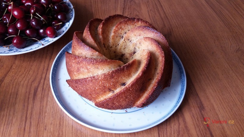 Bábovka margotka - fotografie 2