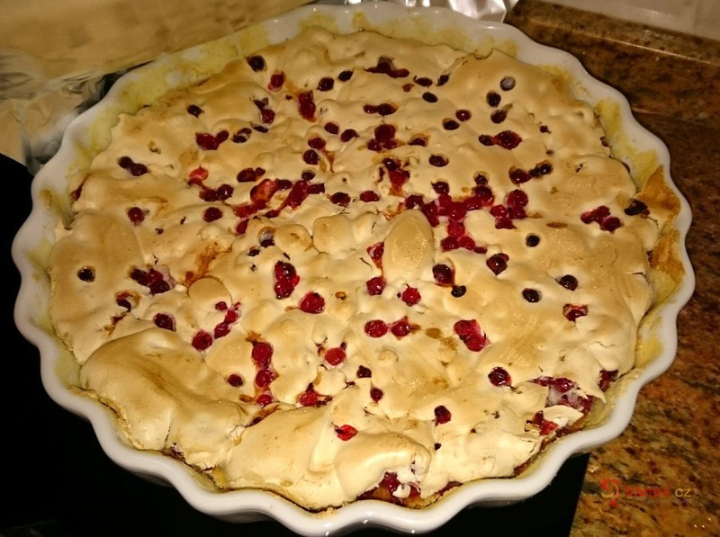 Rybízový koláč se sněhem - fotografie 5