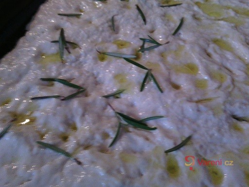 Focaccia z Genovy - fotografie 4