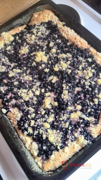 Kynutý borůvkový koláč s drobenkou - fotografie 5