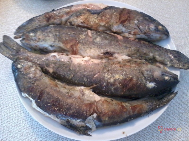 Labužník - fotografie 3