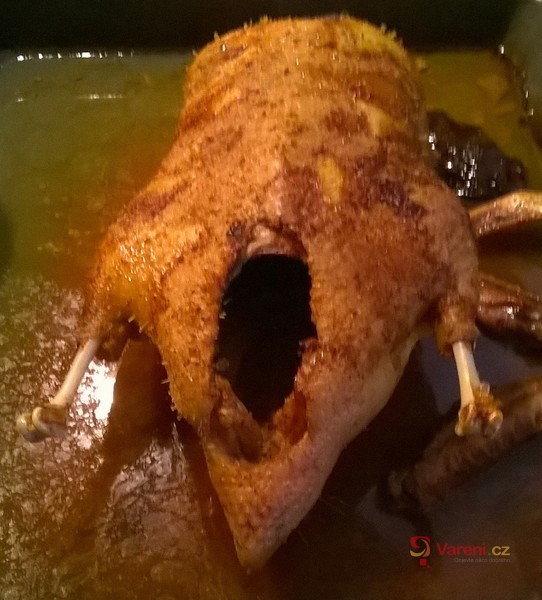 Pečená kachna s moravským červeným zelím - fotografie 2