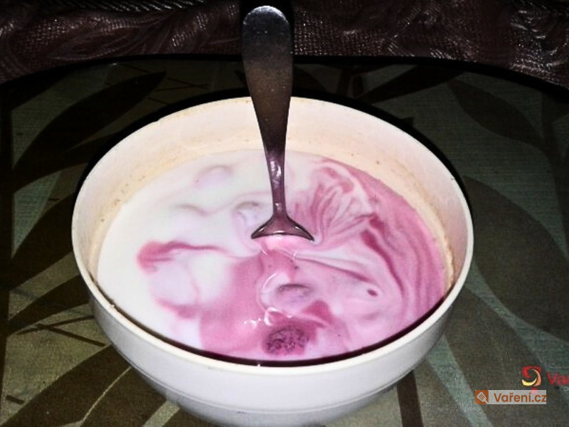 Domácí jogurt se salkem
