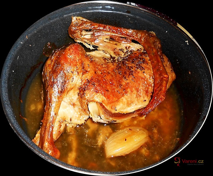 Kachna bez práce - fotografie 2