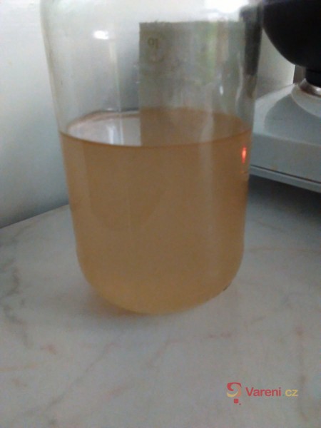 Zázvorový sirup - fotografie 2