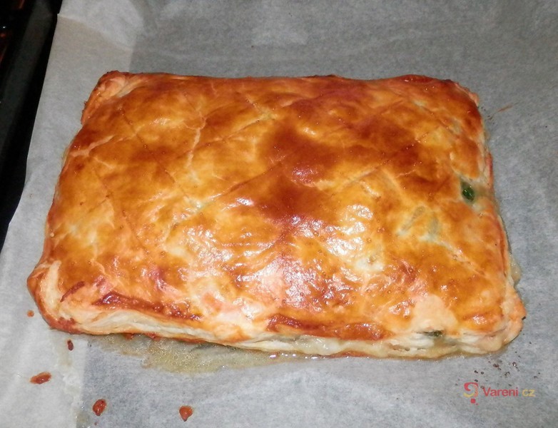 Losos zapečený se špenátem - fotografie 2