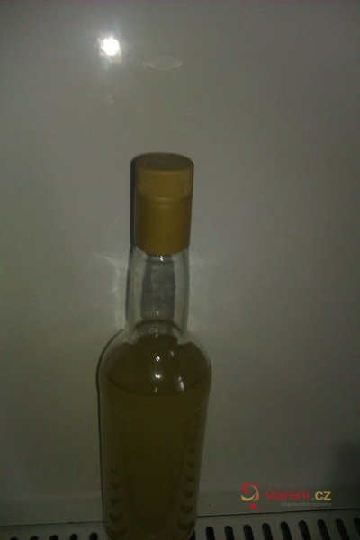 Zázvorový likér - fotografie 2