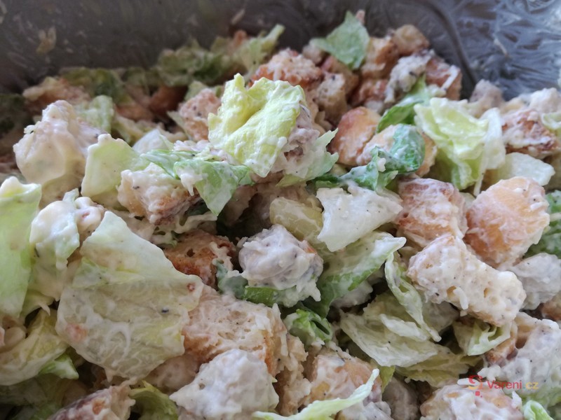 Salát Valerij - fotografie 2