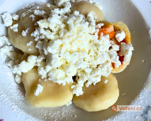 Tvarohové knedlíky s meruňkami